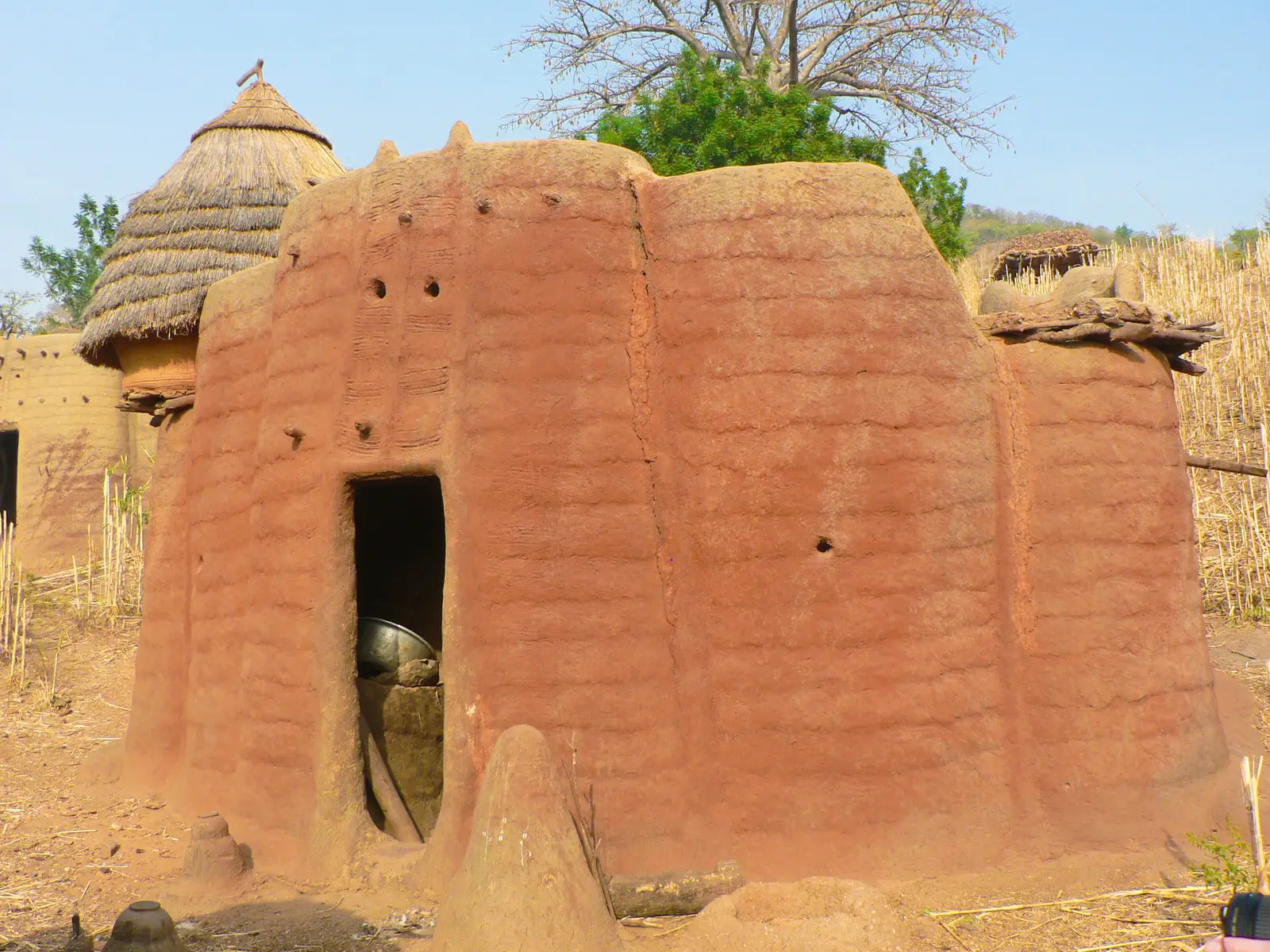 Extraordinary Benin